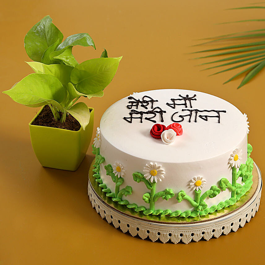 Meri Maa Meri Jaan Cake & Money Plant Combo