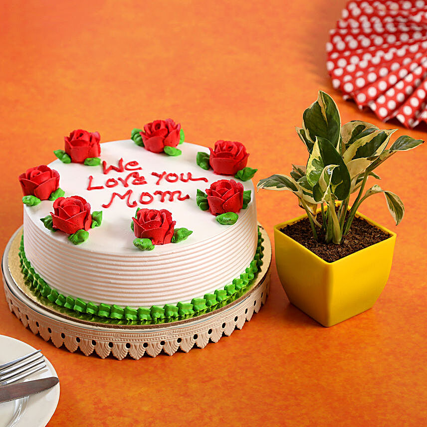 We Love You Mom Cake & White Pothos Plant Combo