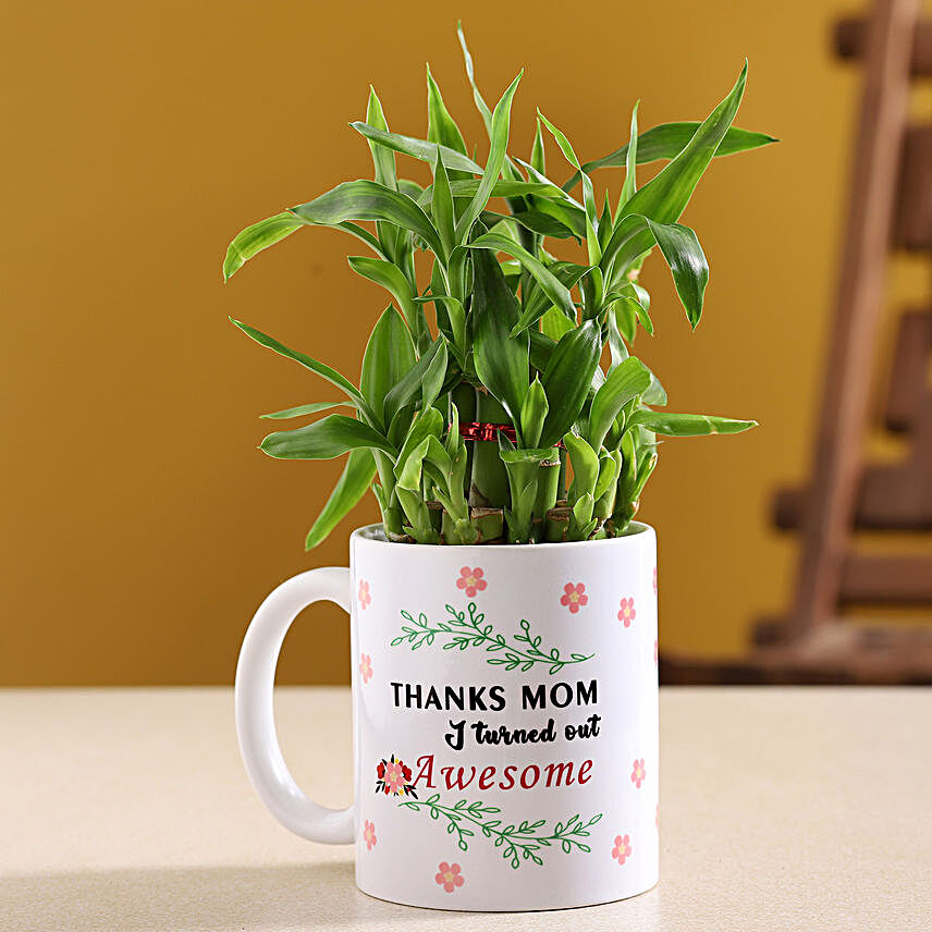 Two Layer Bamboo Plant In Mother Day Mug