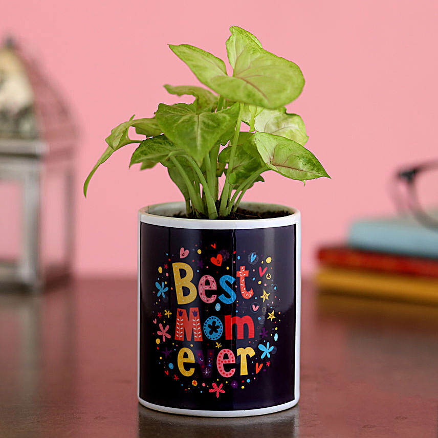 Syngonium Plant In Best Mom Ever Ceramic Planter:Mugs Planters