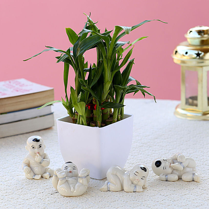 Lucky Bamboo Baby Buddha Combo Hand Delivery:Plastic Planters