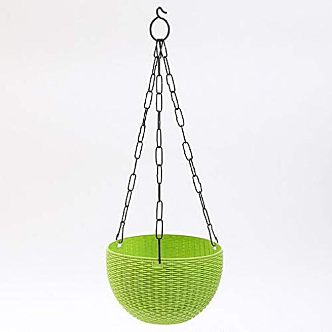 Buy/Send green circular pot with black hanging pot Online FNP