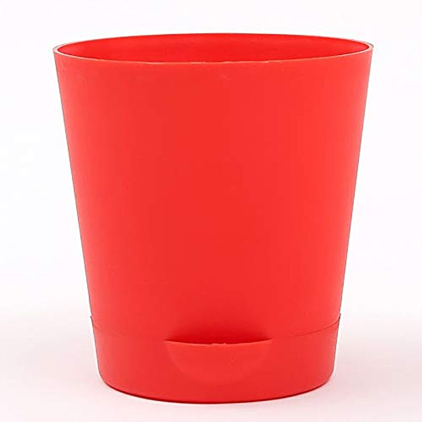 red self watering plastic pot