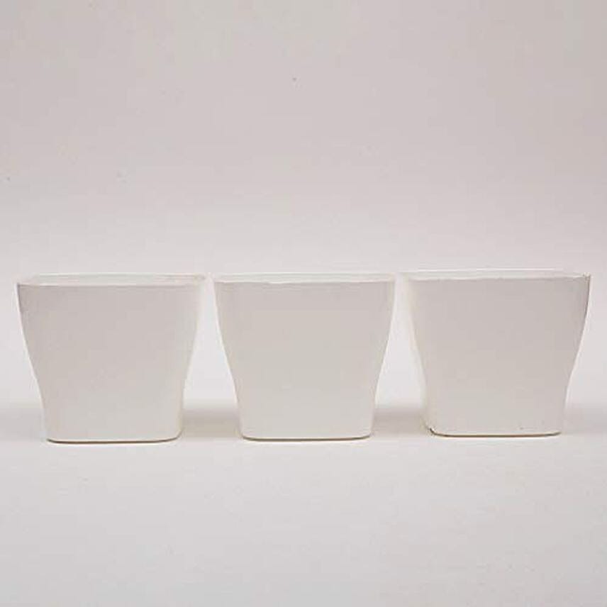 5 inches set of 3 white plastic pot