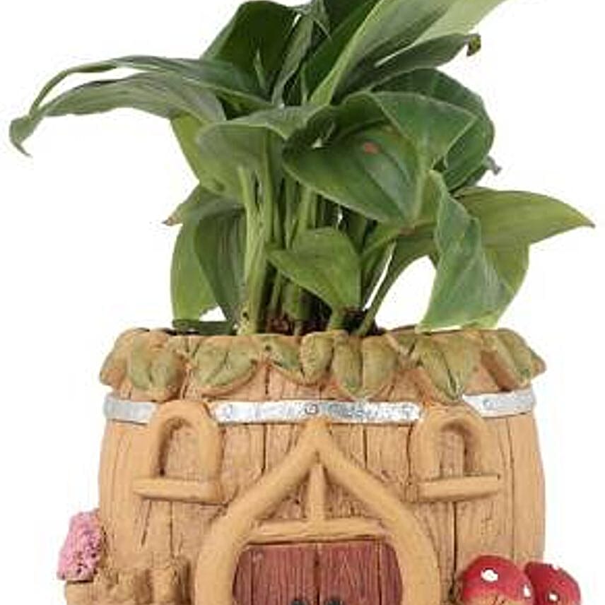 peace lily plant in resin pot 3 2 x 3 5 inch