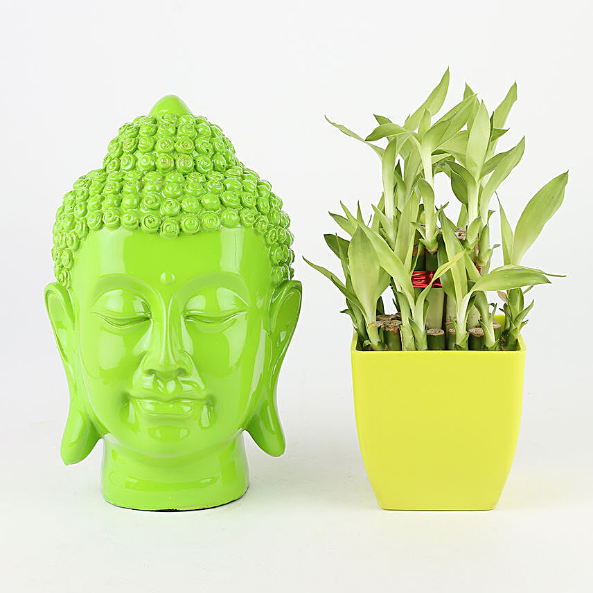 bamboo plant in green pot n green buddha head idol