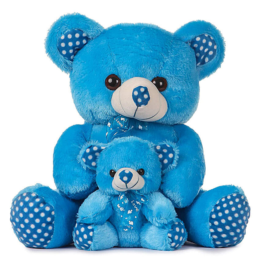 Cute Blue Mother & Baby Teddy Bear
