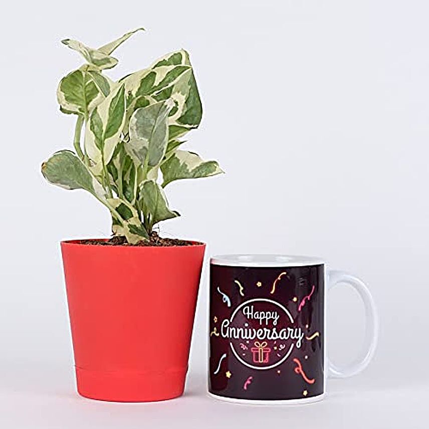 pothos plant in red self watering pot n happy mug
