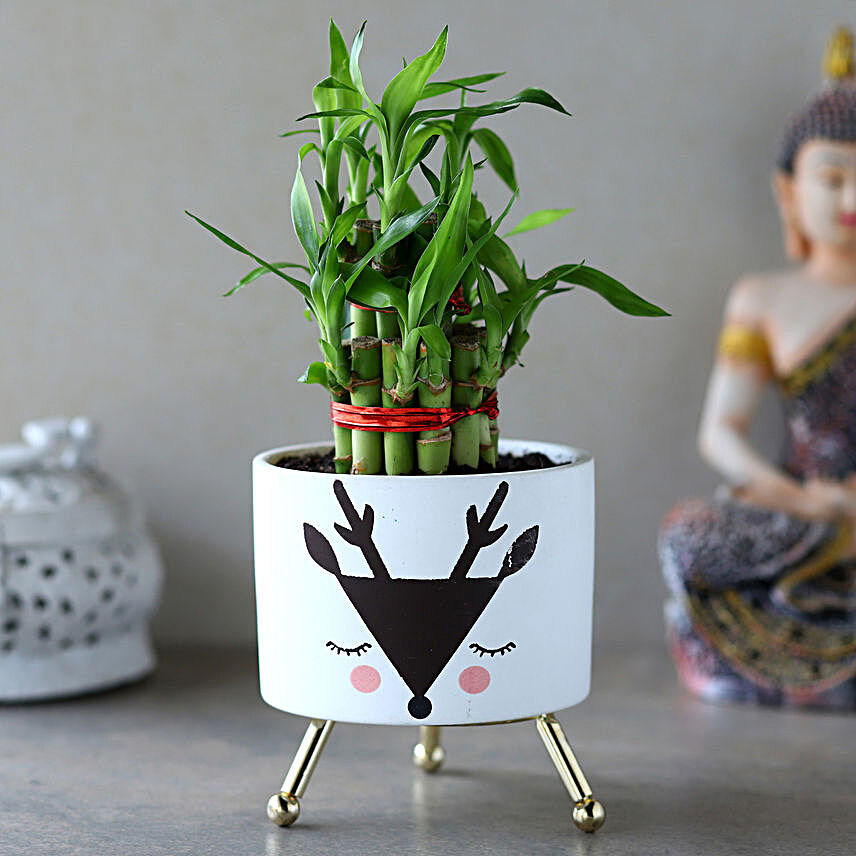 2 Layer Bamboo Plant In White Black Reindeer Pot