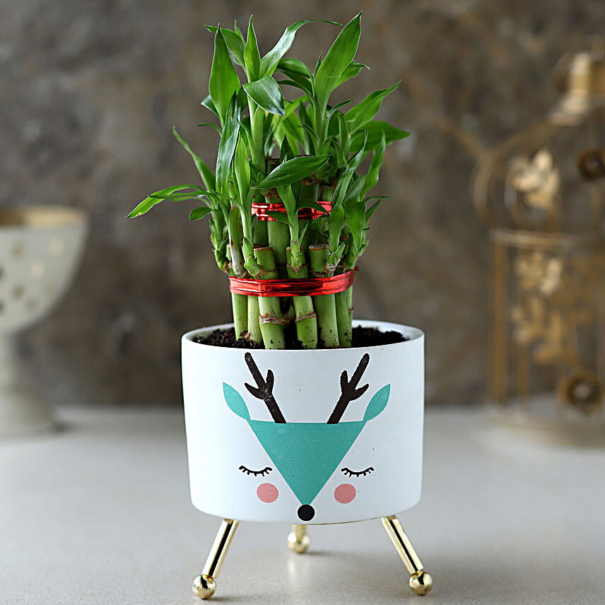 2 Layer Bamboo Plant In White Green Reindeer Pot