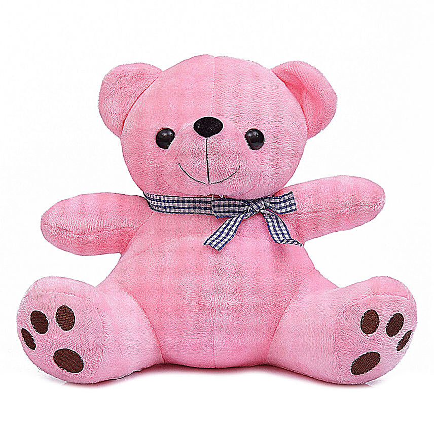 Cute & Cuddly Pink Poppy Teddy Bear