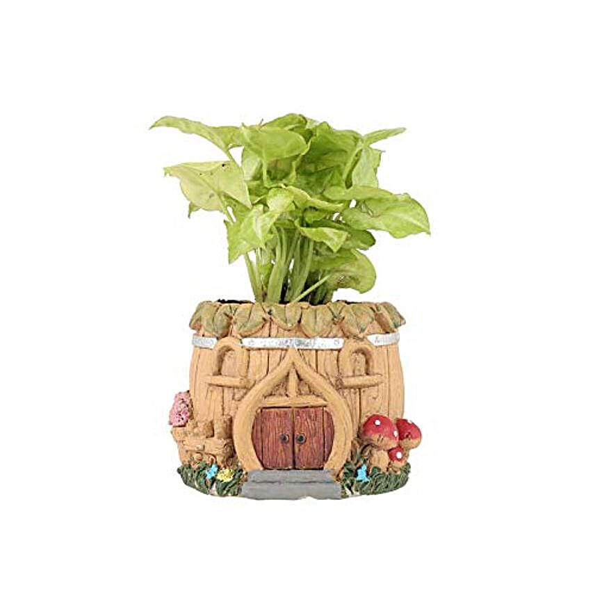 syngonium plant in multicolor resin pot a14