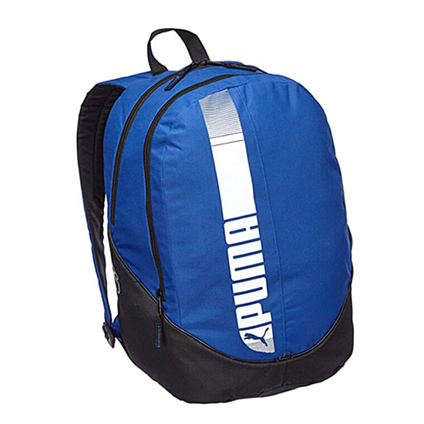 Buy Send Puma Polyester Blue Casual Backpack Online FNP