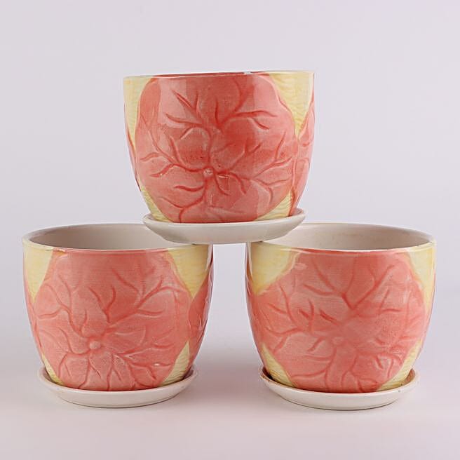 Buy/Send set of 3 pink ceramic flower pot mp22 Online FNP