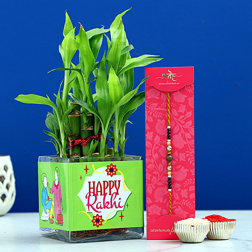 Sleek Pearl Rakhi N Two Layer Bamboo In Sticker Vase