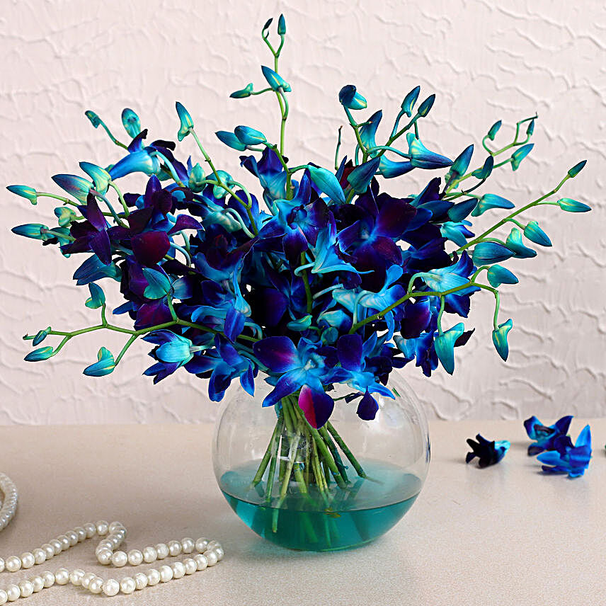 Beautiful Orchids Glass Vase Arrangement:Buy Orchids