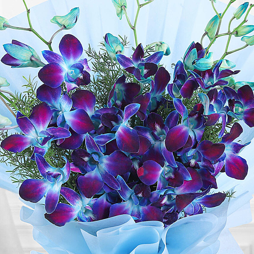 Buy/Send Mesmerising Blue Orchids Bouquet Online- FNP
