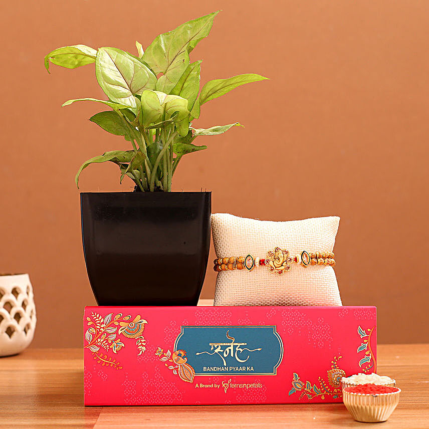 Ganesha Rakhi And Syngonium Plant Hamper:Rakhi Gifts to Faizabad
