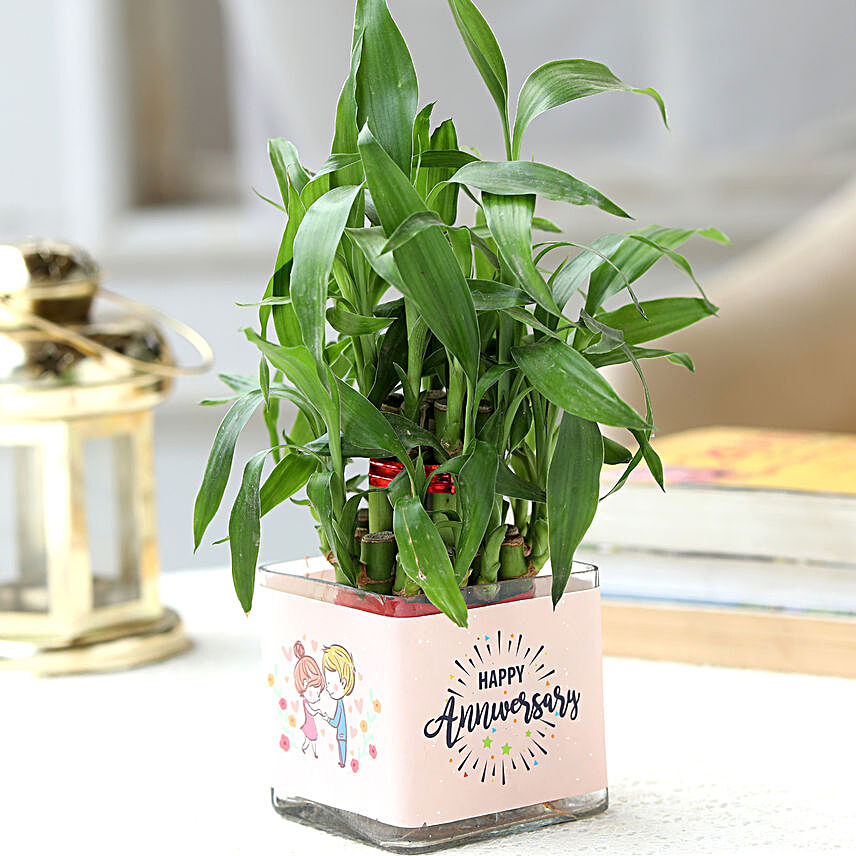 Two Layer Bamboo Plant Anniversary Greetings Hand Delivery
