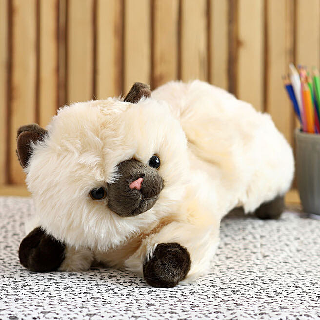 Buy/Send Wild Republic Light Brown Sitting Cat Soft Toy Online FNP