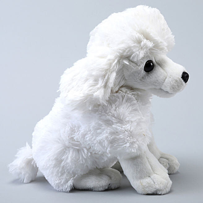 Buy/Send Wild Republic Plush White Sitting Poodle Dog Online- FNP