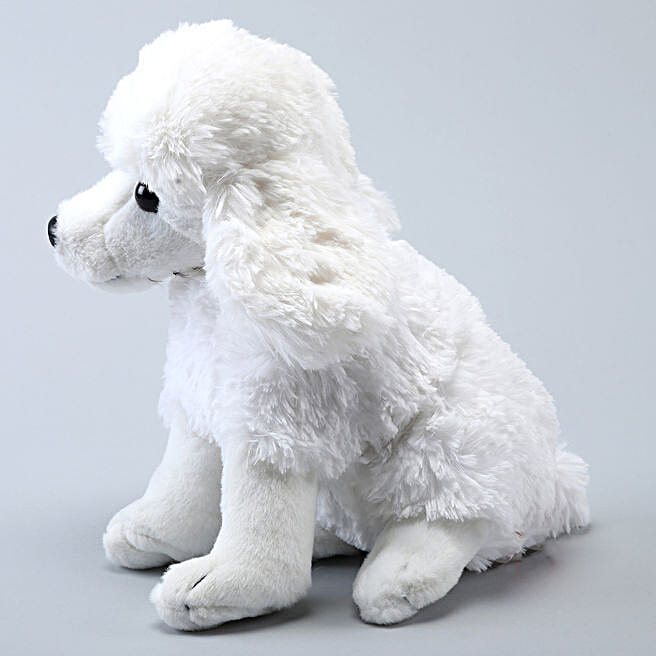 Buy/Send Wild Republic Plush White Sitting Poodle Dog Online- FNP
