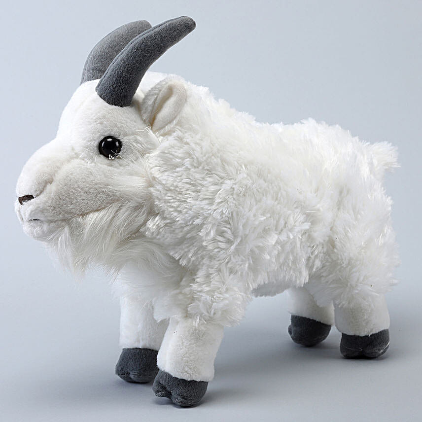 Buy/Send Wild Republic White Plush Mountain Goat Soft Toy Online- FNP Buy/Send Wild Republic White Plush Mountain Goat Soft Toy Online- FNP