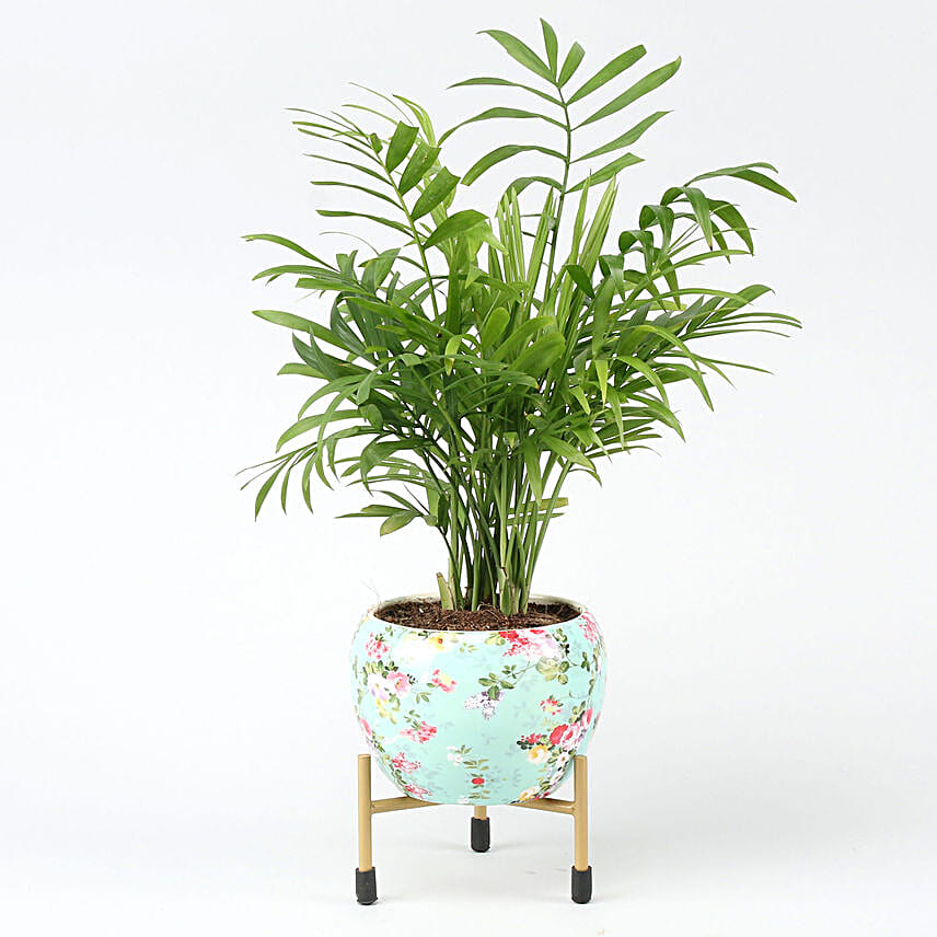 Chamaedorea Plant In Floral Design Metal Pot