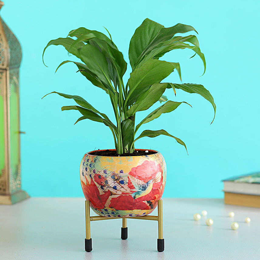Peace Lily Plant In Floral Printed Metal Pot Hand Delivery:Metal Planters