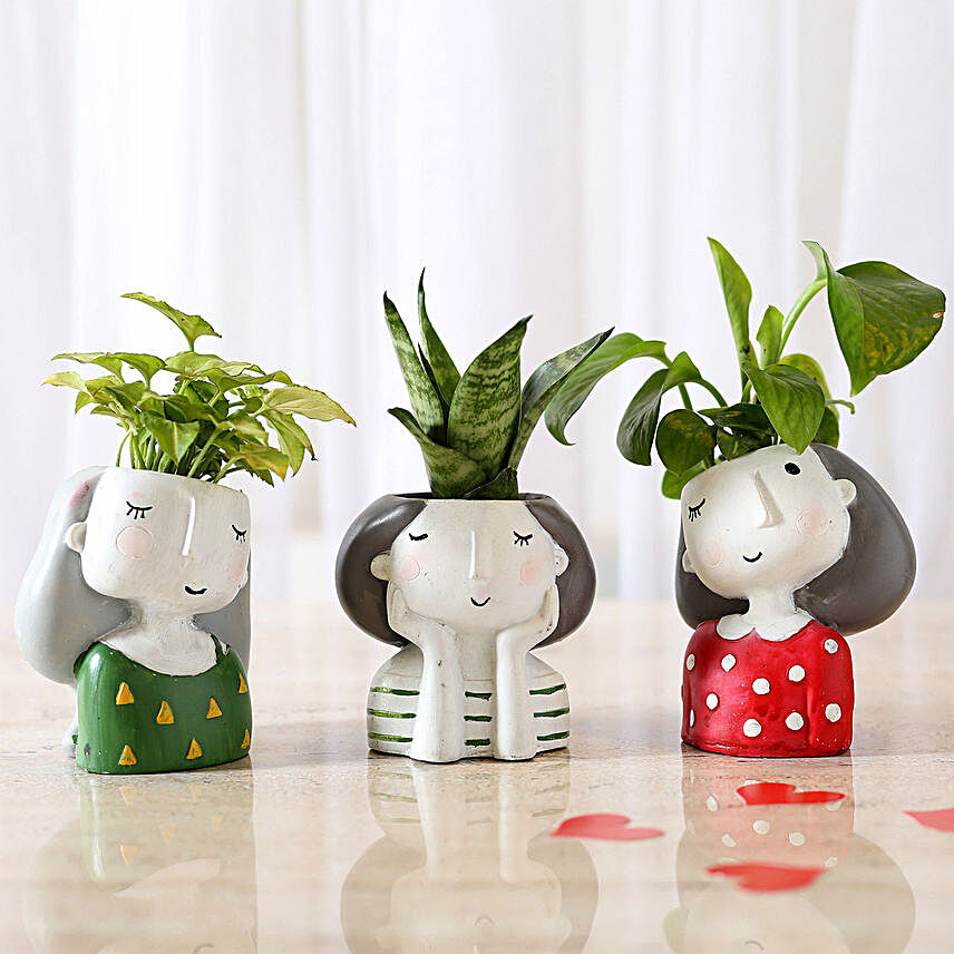 Set Of 3 Green Plants In Cute Girl Pots:Planter Pots online