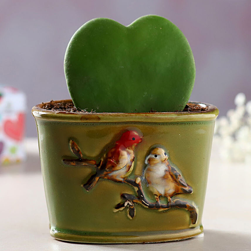Hoya Plant Green Ceramic Bird Pot