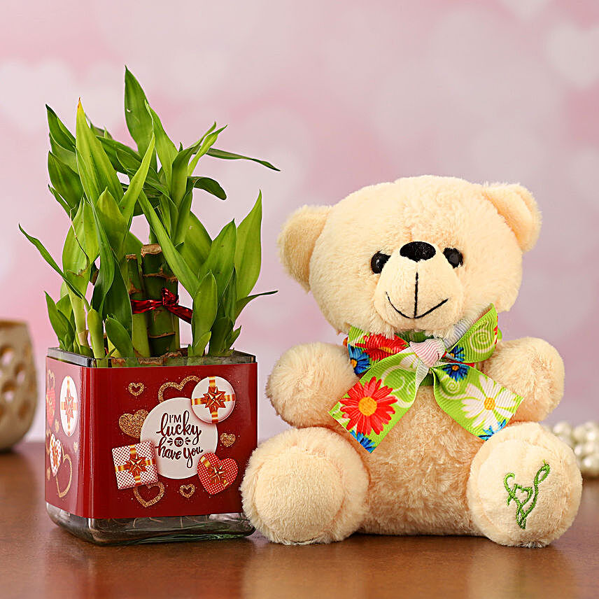 Bamboo Plant Lucky To Have U Vase & Teddy:Buy Plants Combos