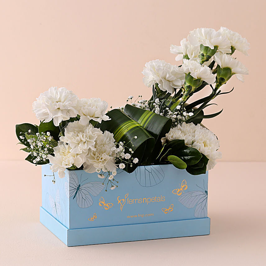 Serene White Carnations Box:Fresh White Flowers