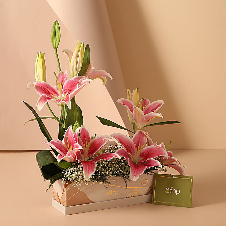 Pink Oriental Lilies FNP Box Arrangement