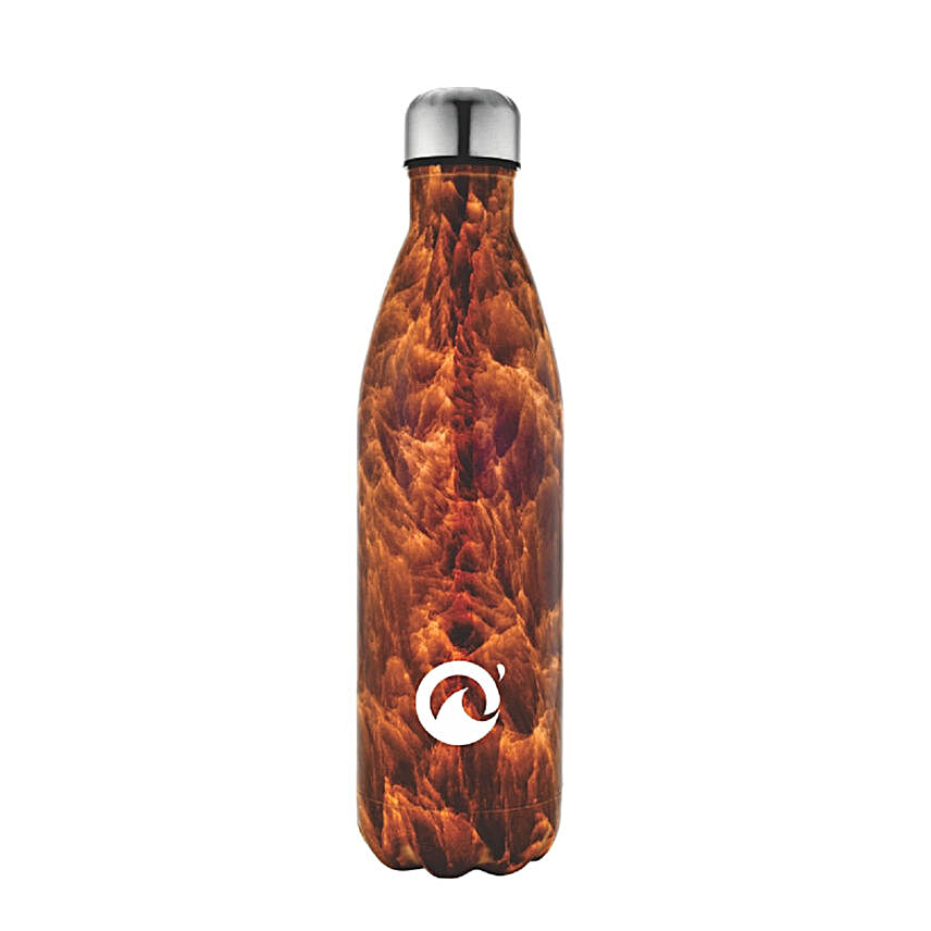 Obouteille Stainless Steel Bottle:Kitchen N dining gifts
