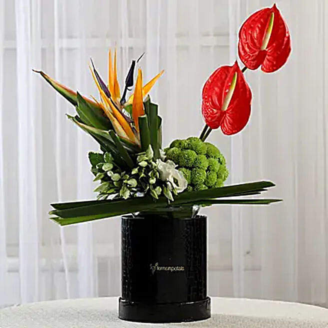 Buy/Send Flowers & Plants Black FNP Box Online Ferns N Petals