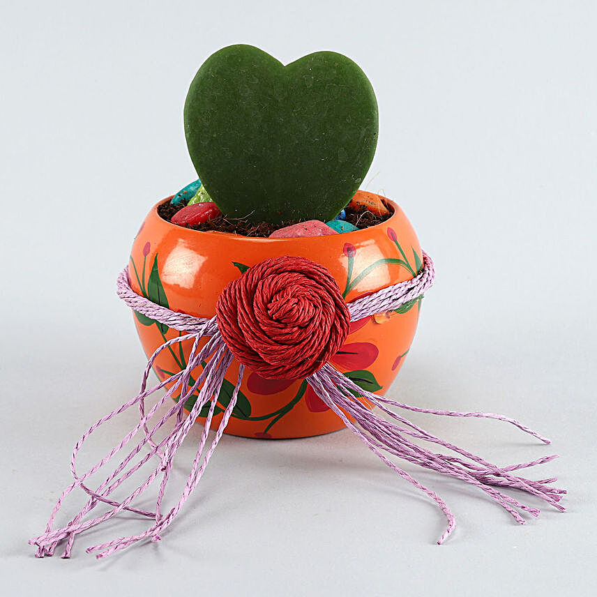 Hoya Plant Orange Handpainted Pot