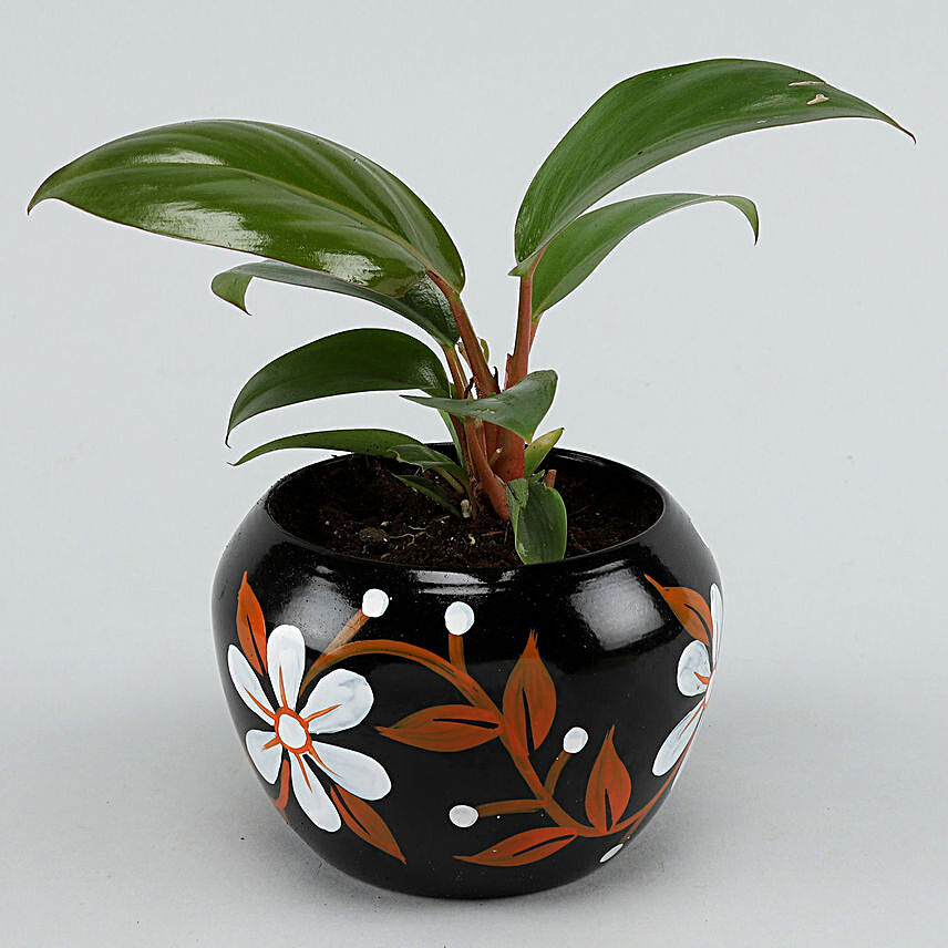 Red Philodendron Plant In Hand-painted Pot Hand Delivery