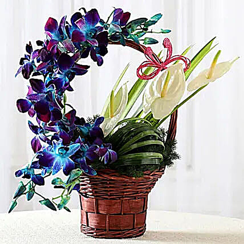 orchid and anthurium in basket arrangement:Mixed Colour Flowers