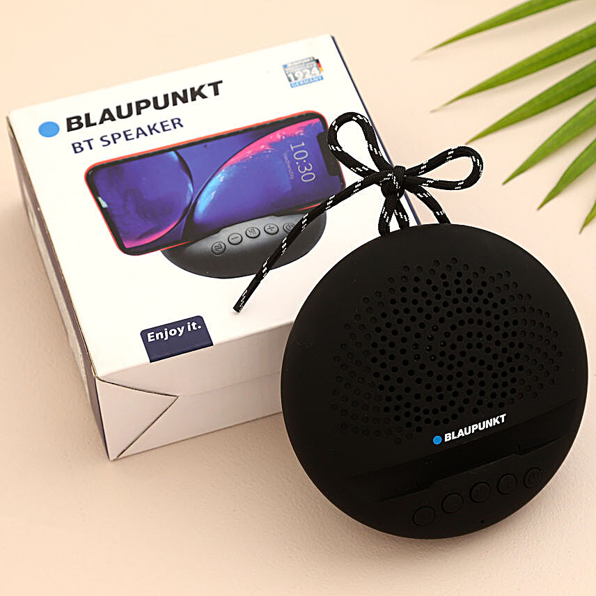 BT03 Portable Bluetooth Speaker (BK) Blaupunkt India, 51% OFF