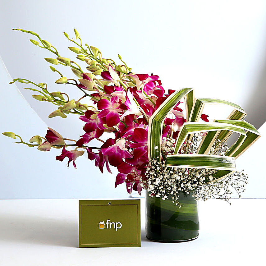 Free Spirited Orchids Arrangement:Send Flowers for Her