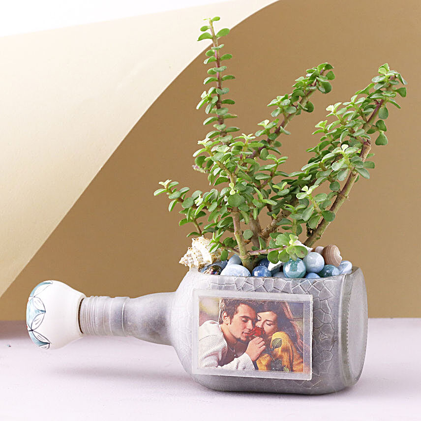 Jade Plant Personalised Frozen Bottle Planter:Plants in Personalised Mugs