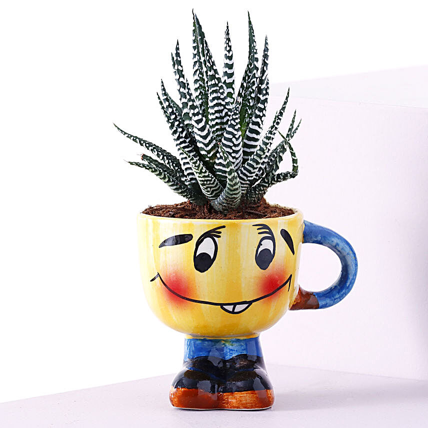 Haworthia Plant Quirky Cup Shaped Pot:Cactus & Succulent Plants