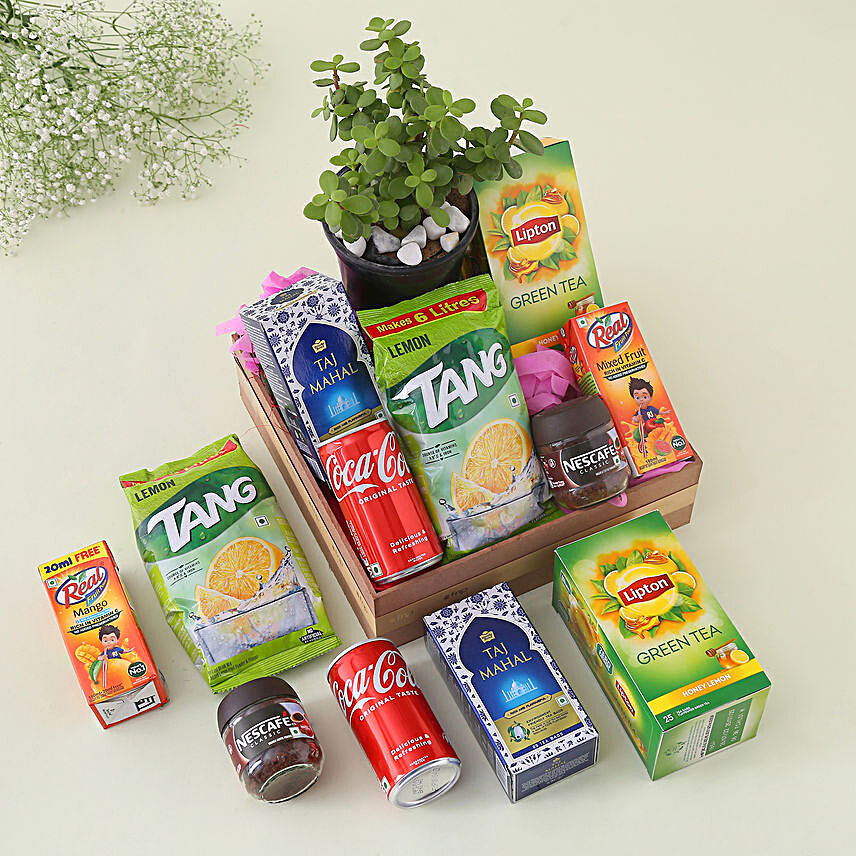 Festive Cheer Treats N Jade Plant Tray:Diwali Gifts For Mom And Dad