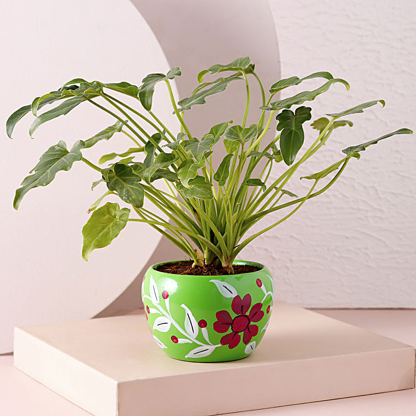 Philodendron Plant Green Floral Print Pot