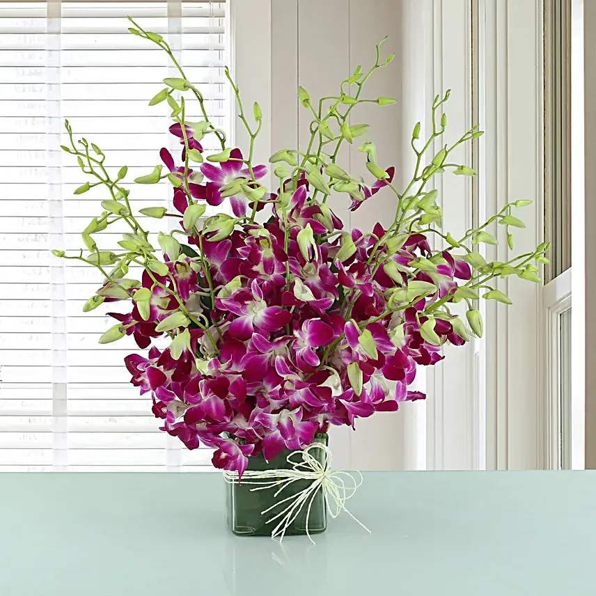 Exotic Expression 20 purple orchids in a glass vase with white Rassi knot
