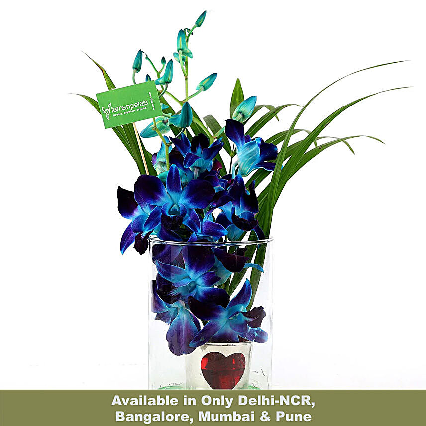 Online Hearty Orchid Vase Arrangement