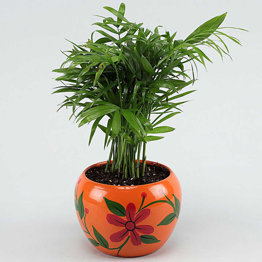 Chamaedorea Palm Plant In Hand Painted Pot Hand Delivery
