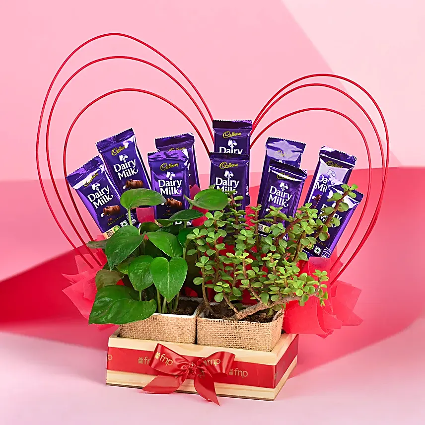 Hearty Desires Sweet Arrangement:Plant Combo For Valentines Day
