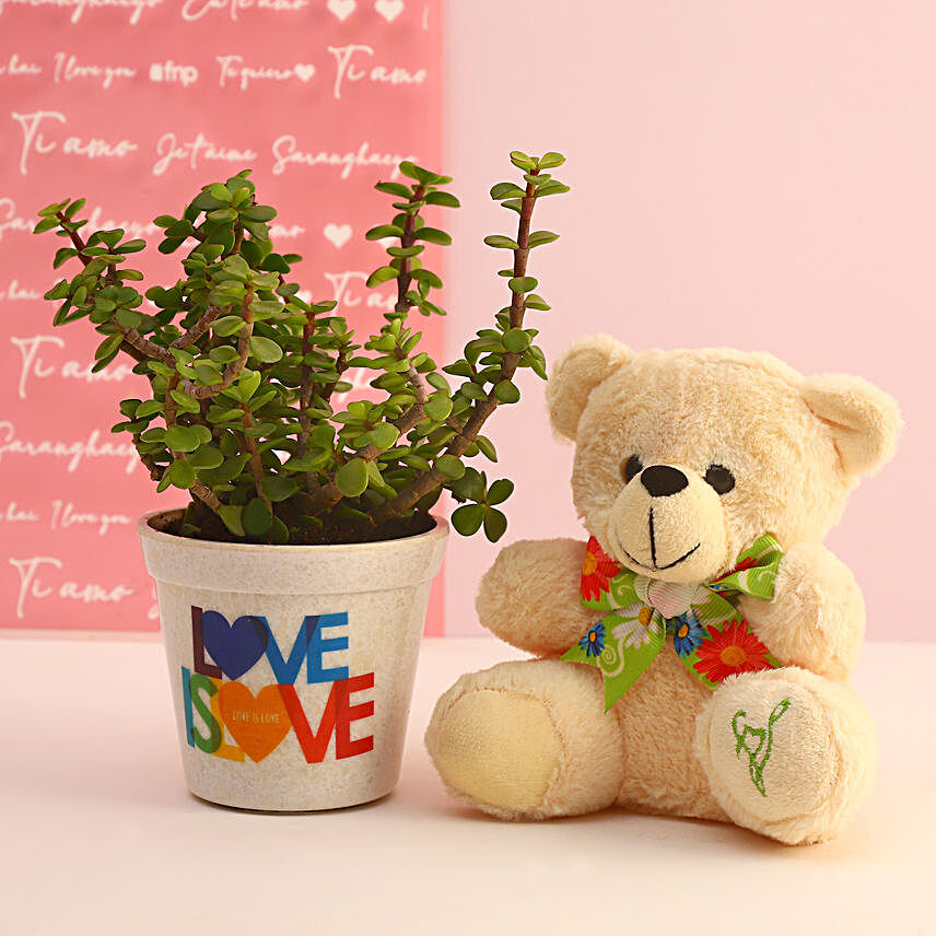 Jade Plant Love Gift